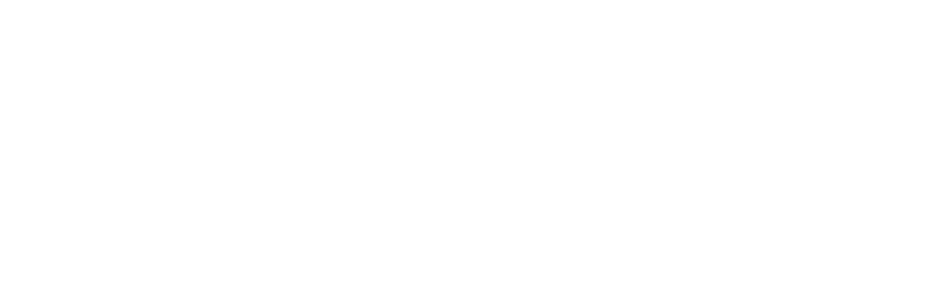 Andzup